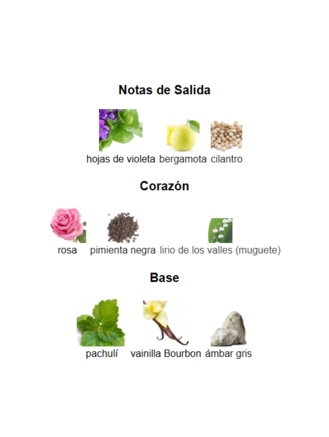 Suits - Fragrance World