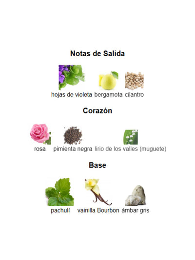 Suits - Fragrance World