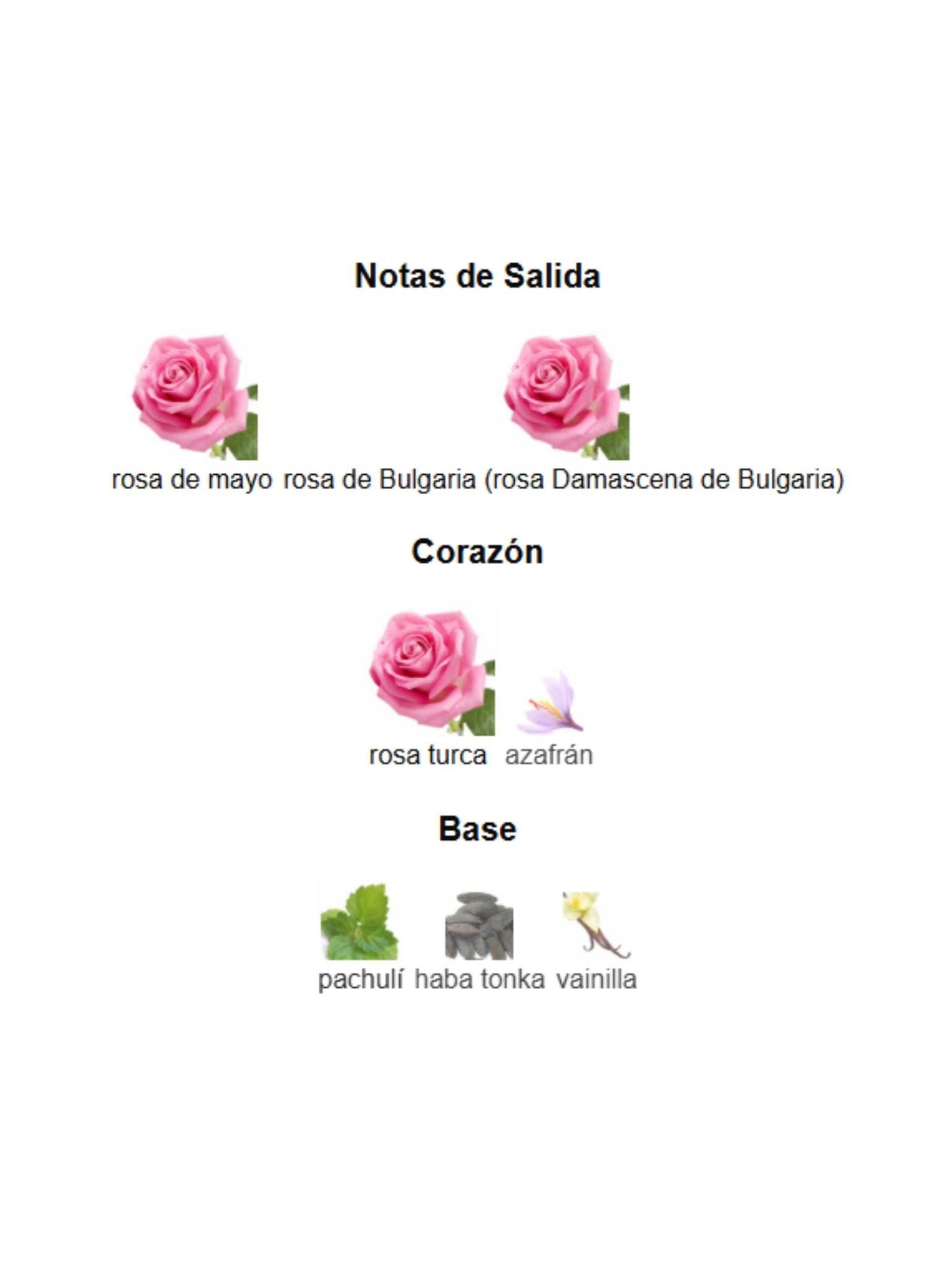 Rose Petals - Maison Alhambra