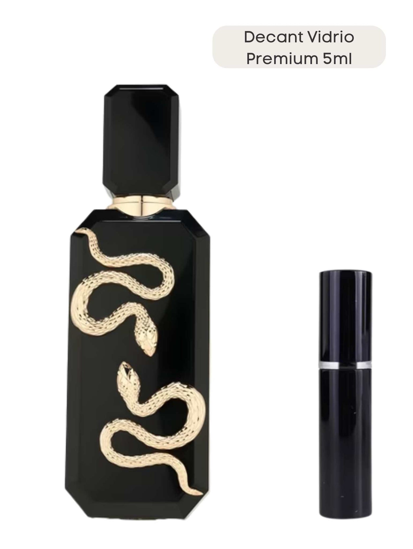 Veneno - French Avenue