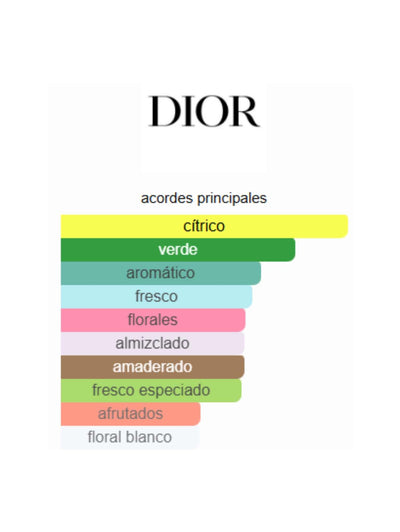 The Cachemire - Dior