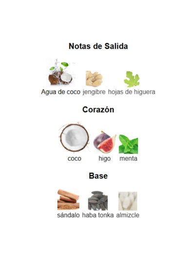 Hawas Tropical - Rasasi