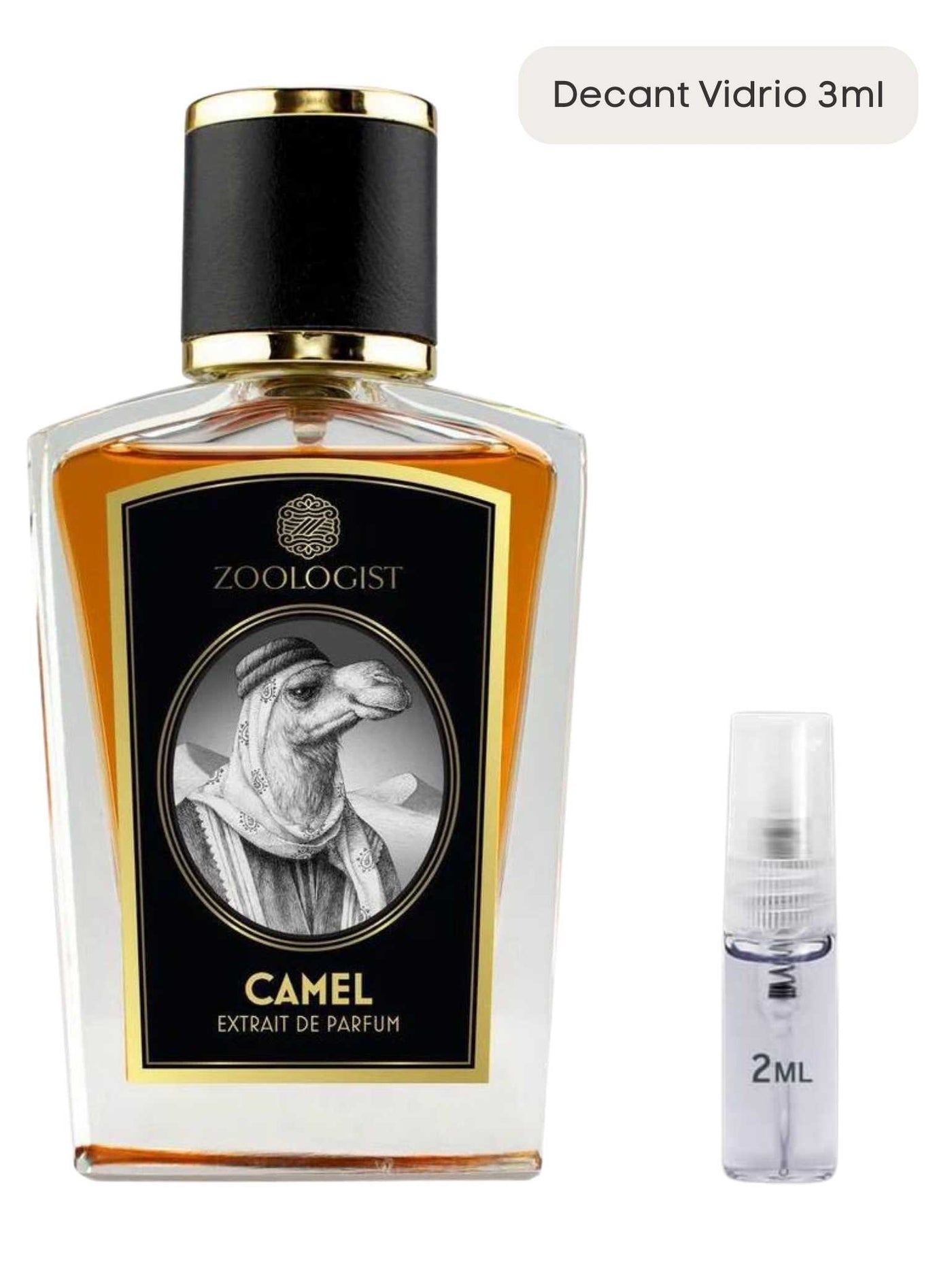 Camel - Zoologist