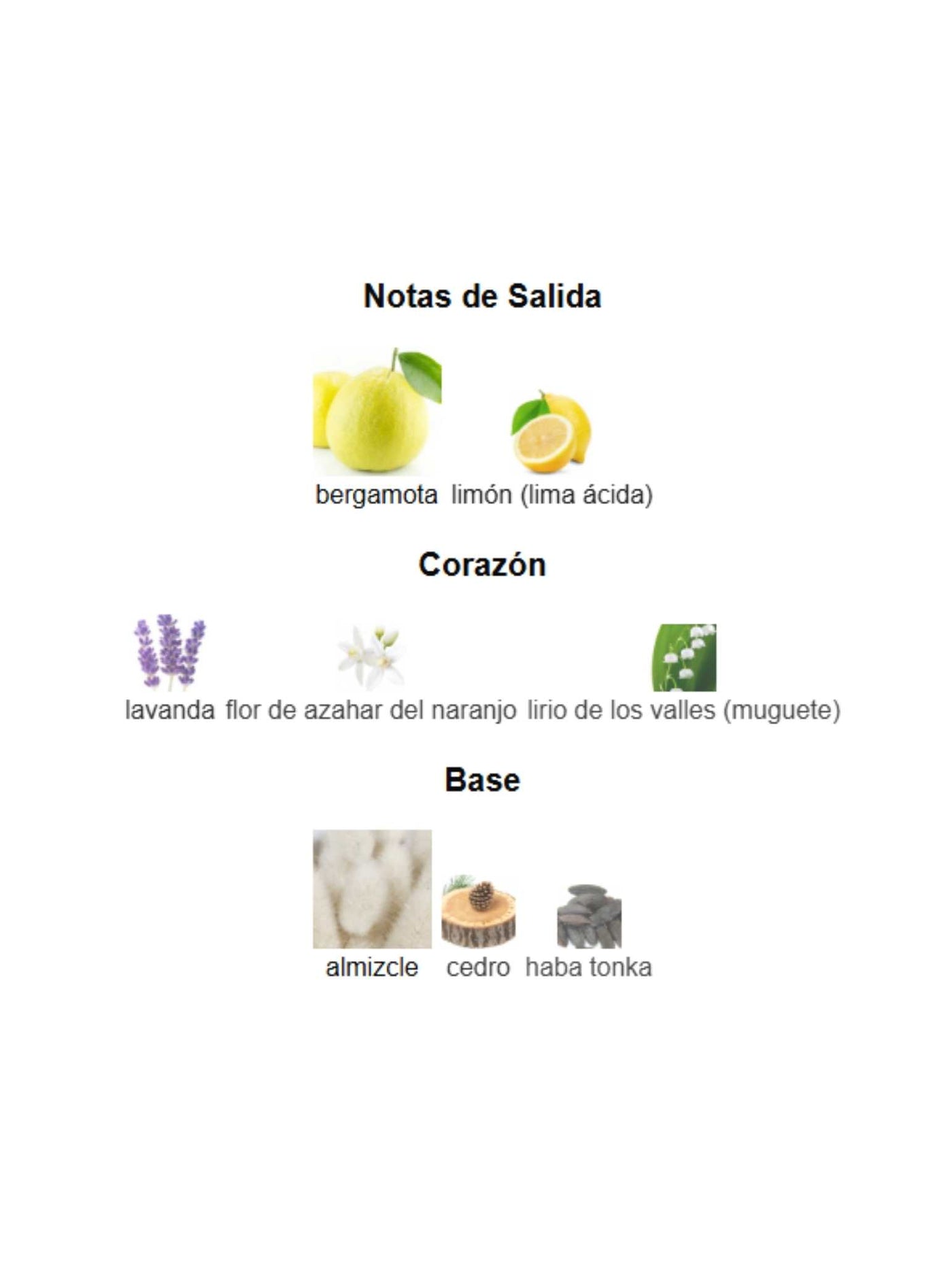 Bergamask - Orto Parisi