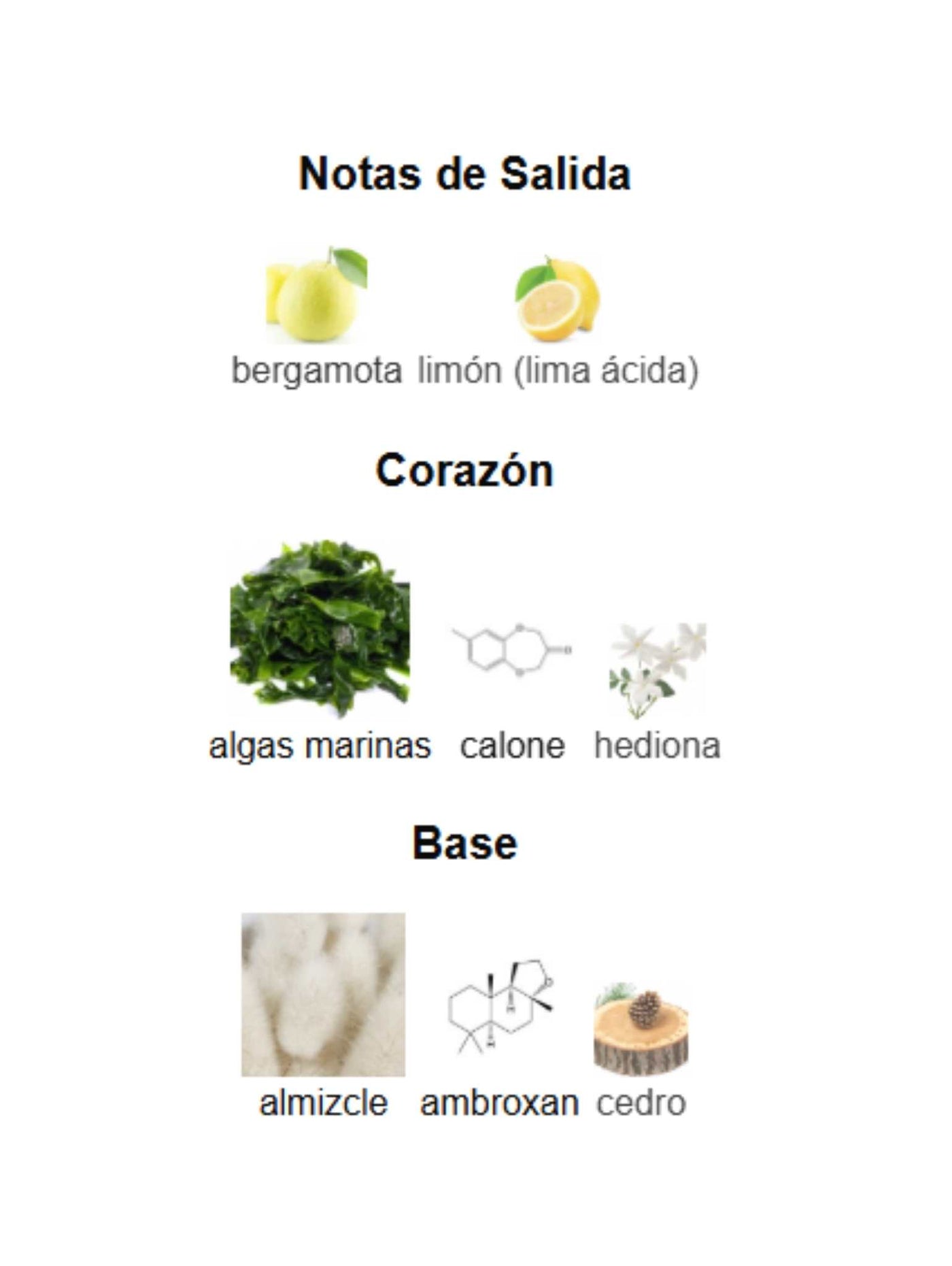 Megamare - Orto Parisi