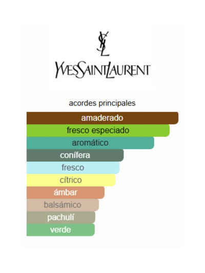 Y Le Parfum 2025- Yves Saint Laurent