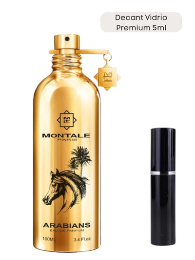 Arabians - Montale