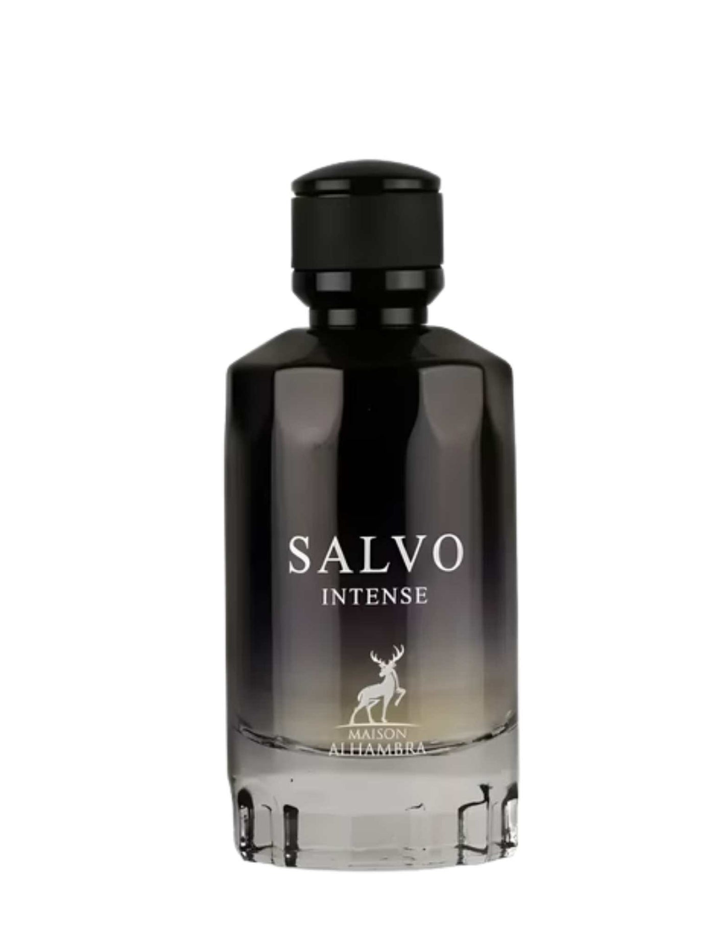 Salvo Intense - Maison Alhambra
