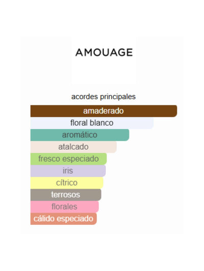 Reflection Man - Amouage