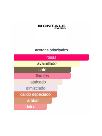 Intense Cafe - Montale