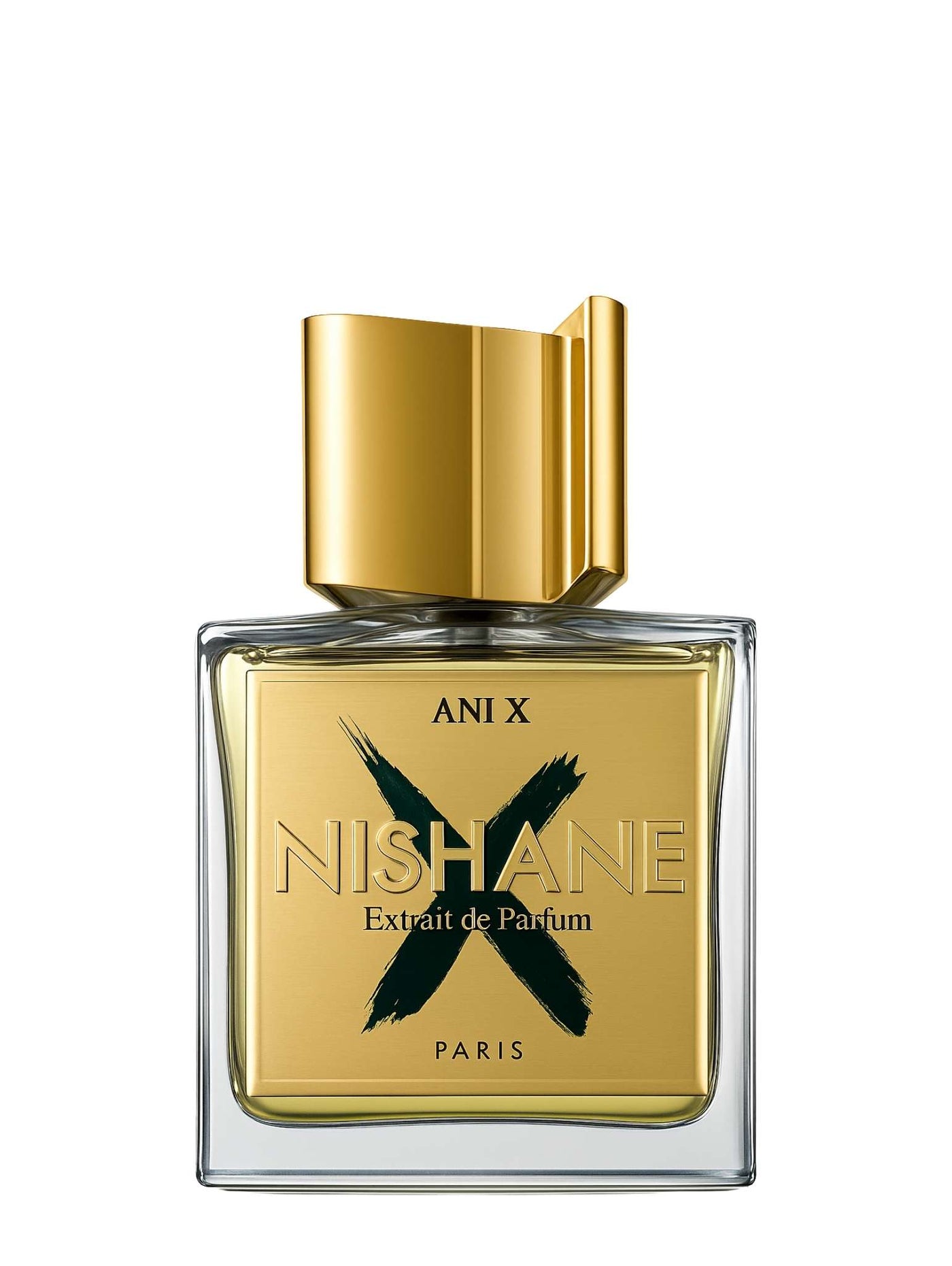 Ani X - Nishane