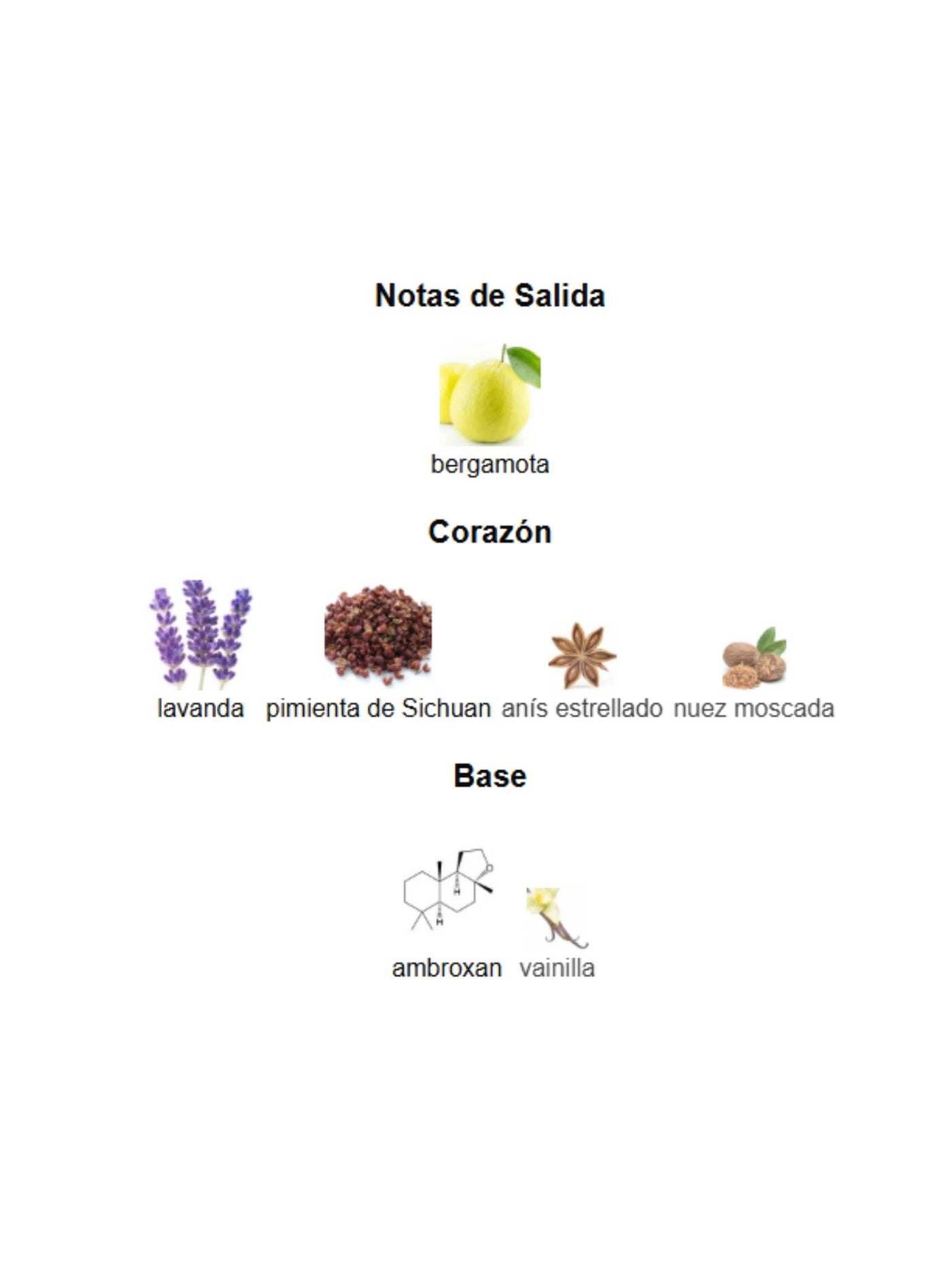 Salvo Intense - Maison Alhambra