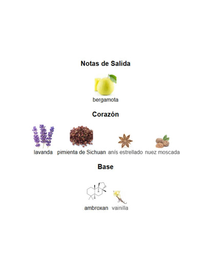 Salvo Intense - Maison Alhambra