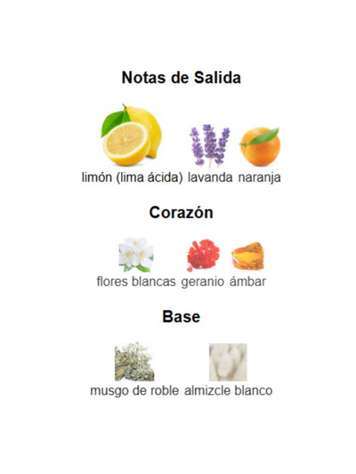 Lemon Lime - Mancera