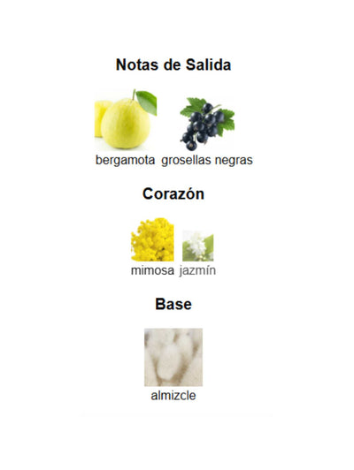 Barakkat Aqua Stellar - Fragrance World