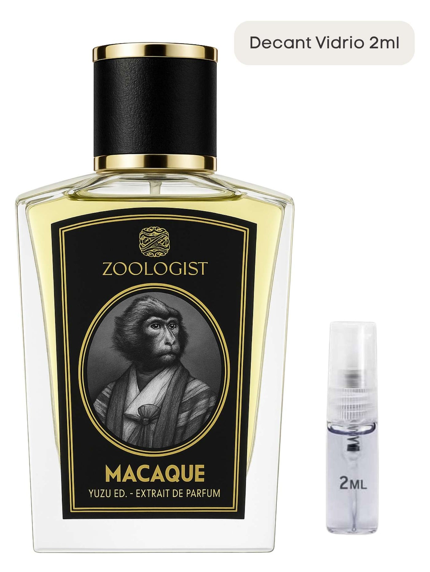 Macaque Yuzu Edition - Zoologist