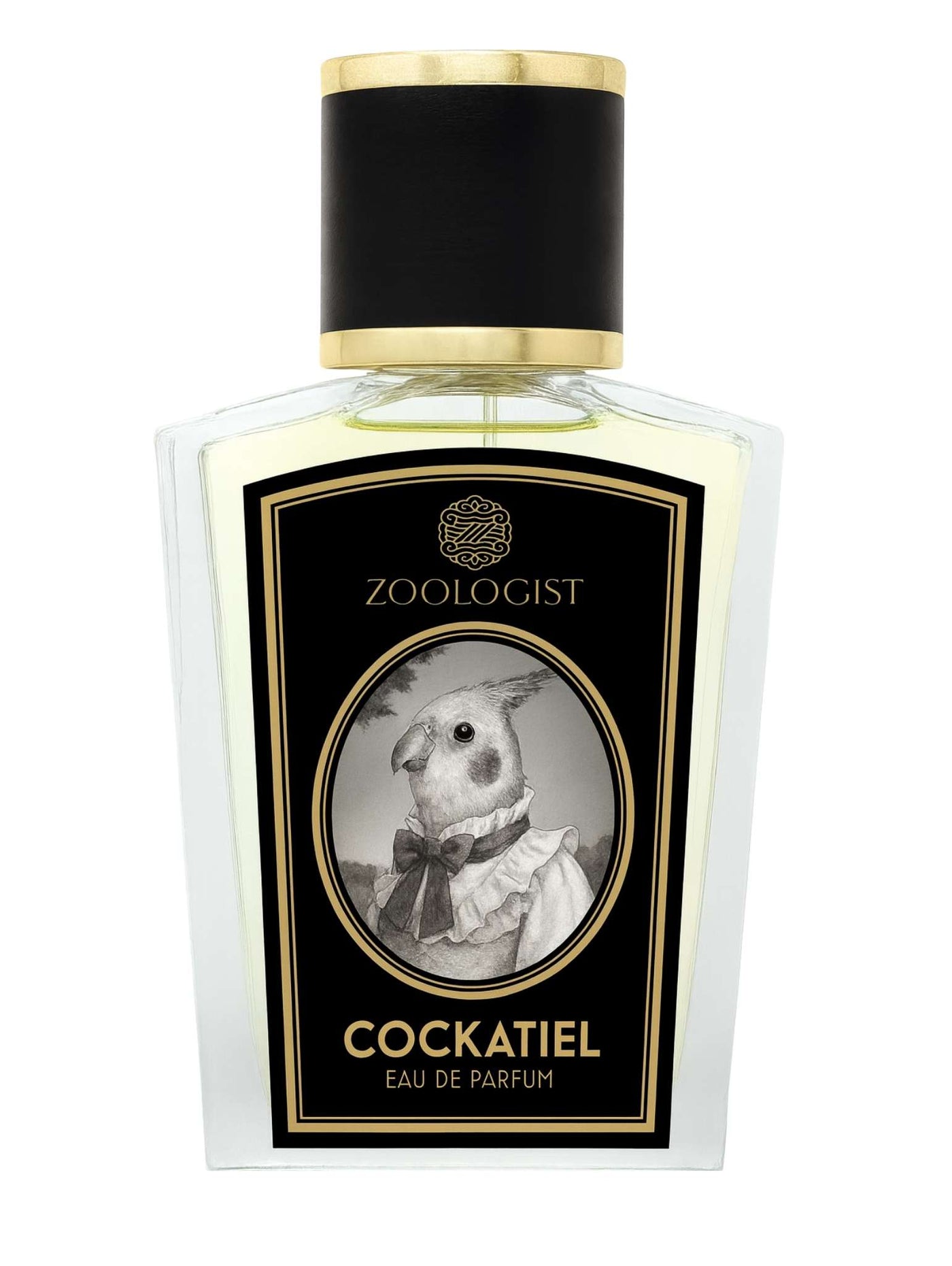 Cockatiel - Zoologist
