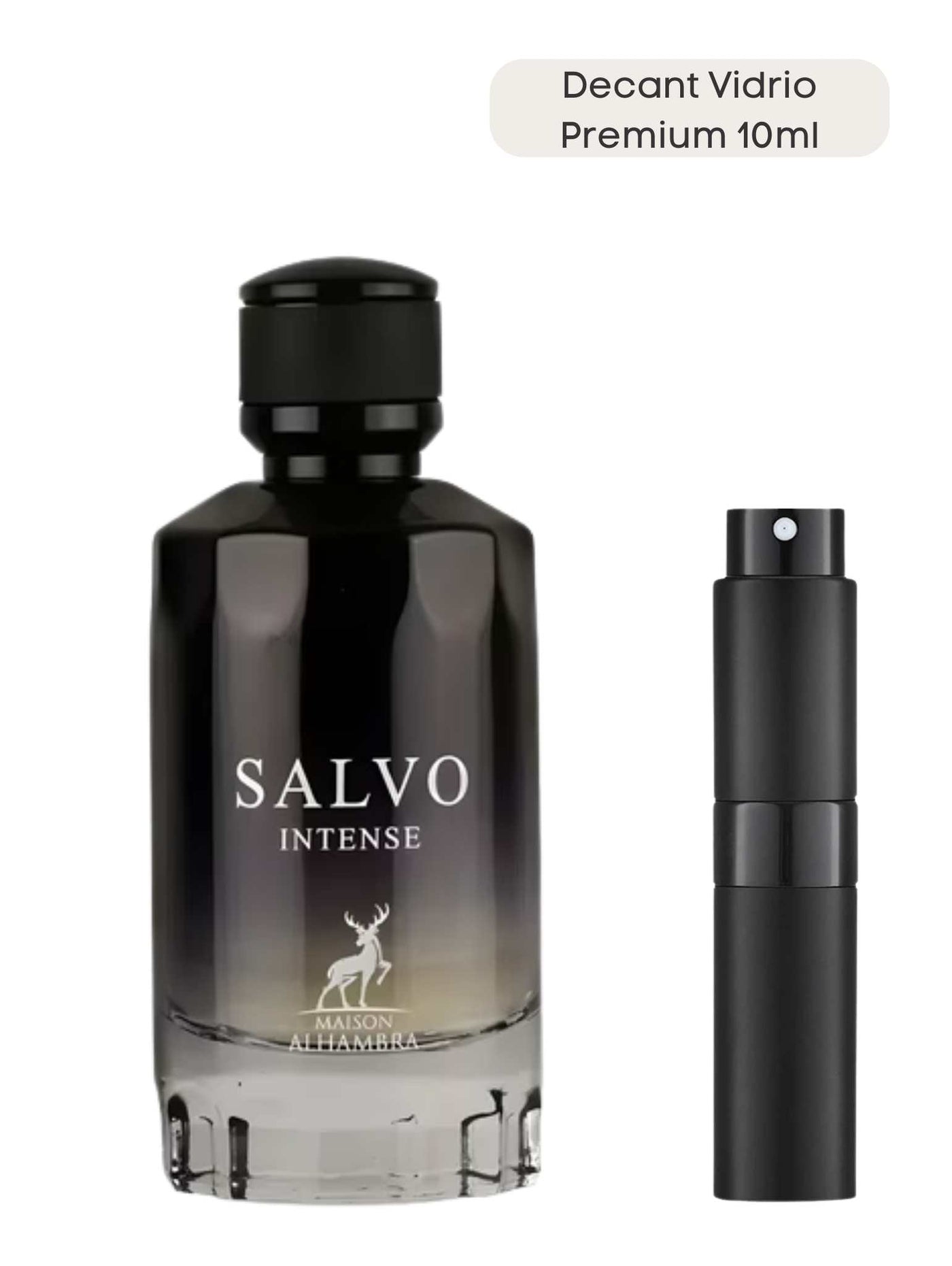 Salvo Intense - Maison Alhambra