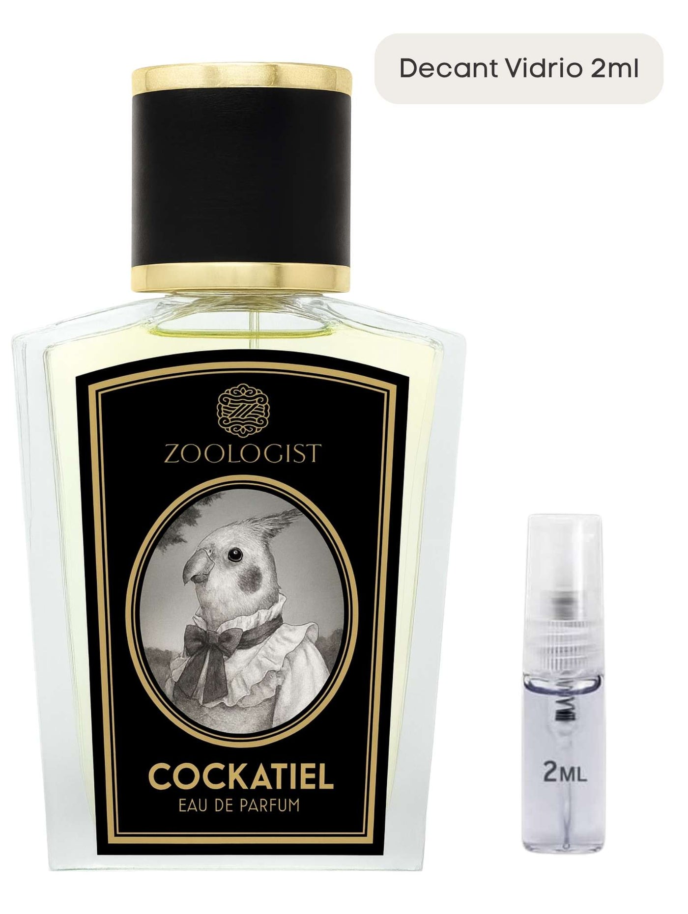 Cockatiel - Zoologist