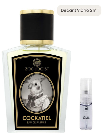 Cockatiel - Zoologist