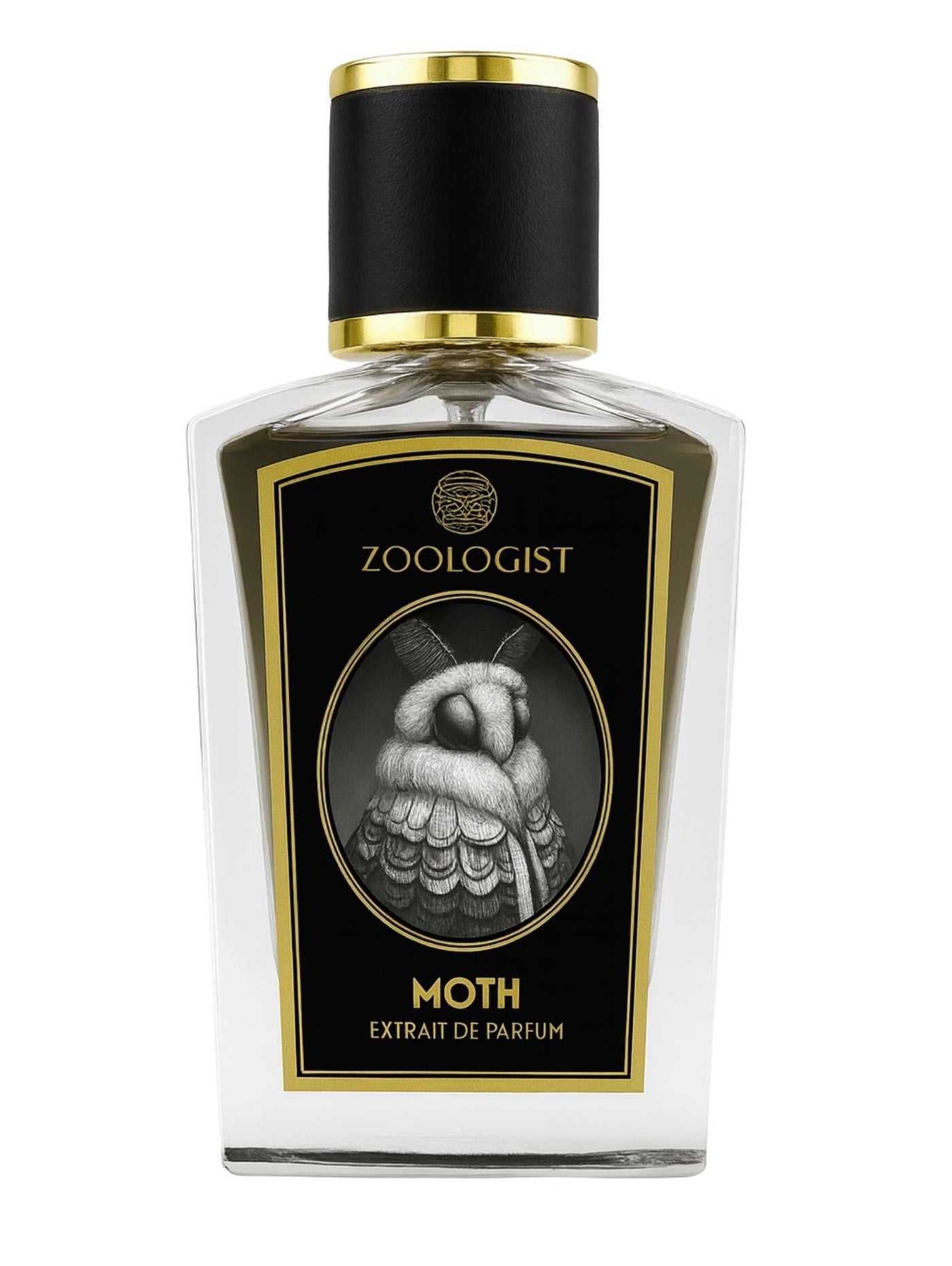 Moth - Zoologist