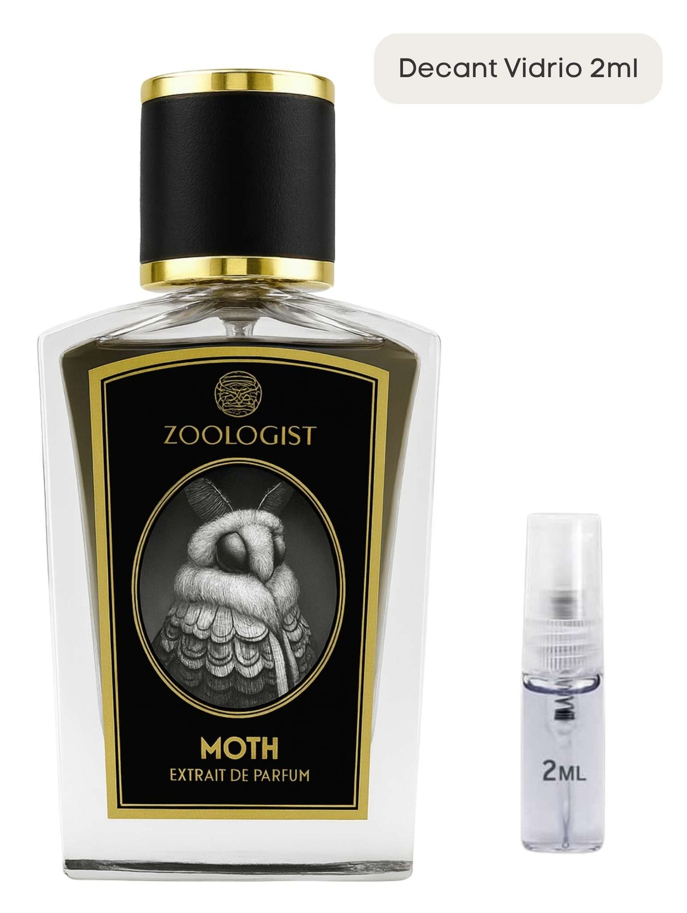 Moth - Zoologist
