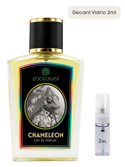 Chameleon - Zoologist