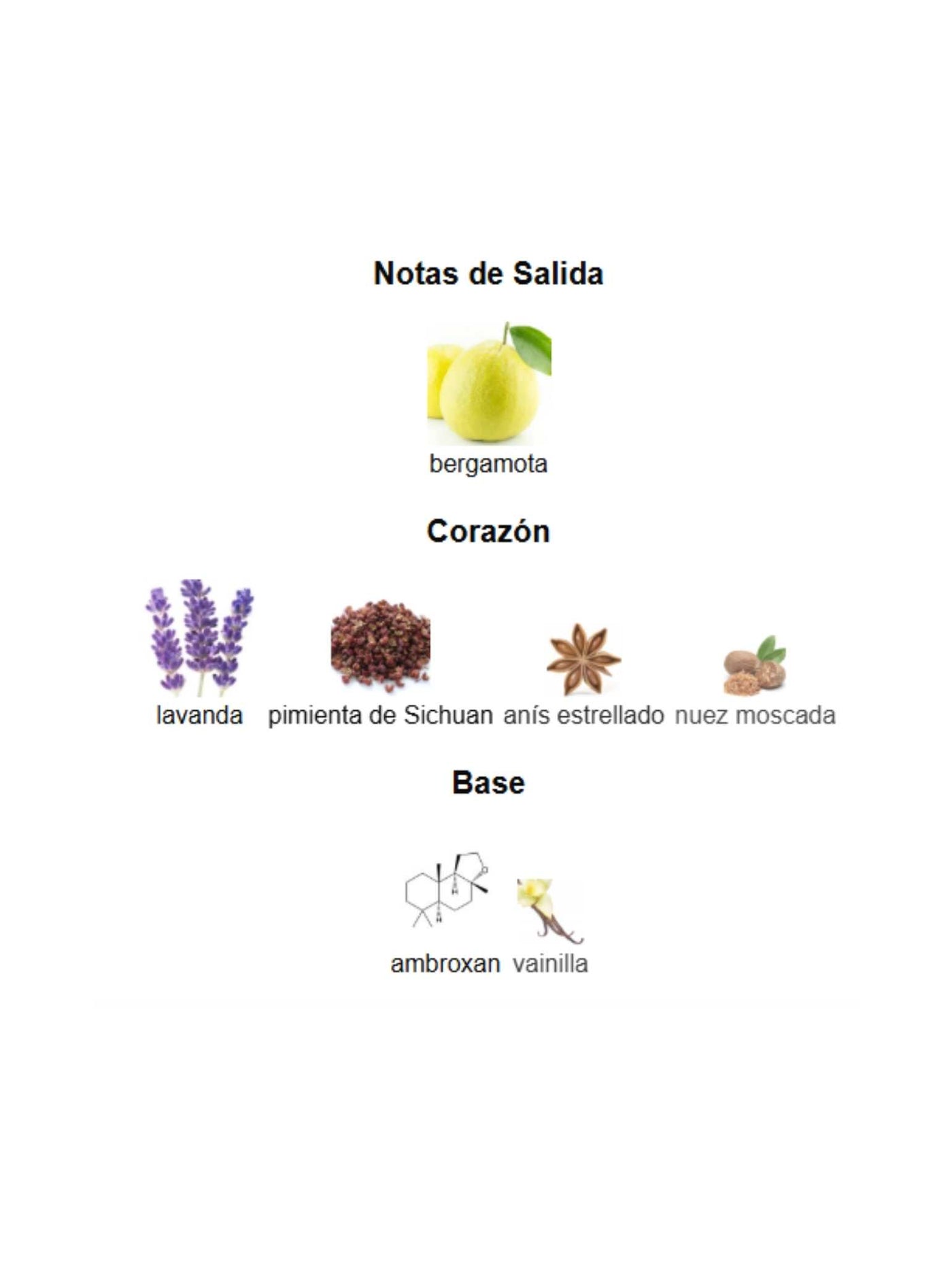 Salvo - Maison Alhambra