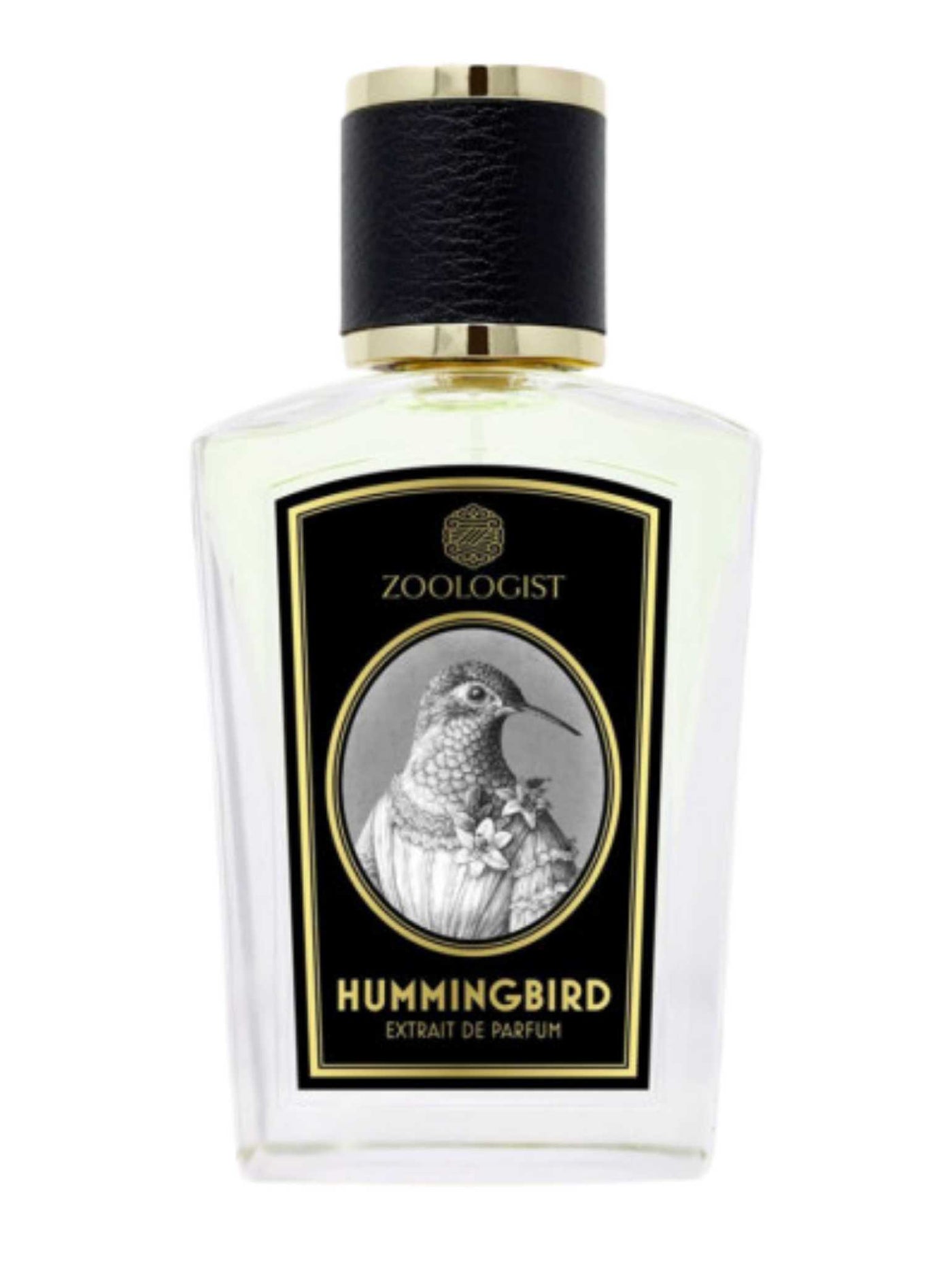 Hummingbird - Zoologist