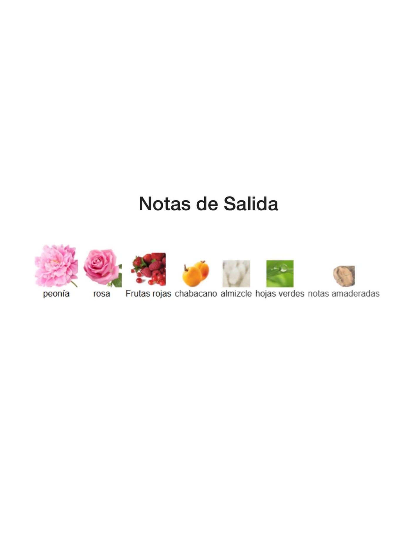 Holy Peony - Dior