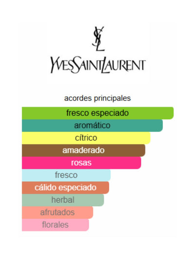 L'Homme Ultime - Yves Saint Laurent