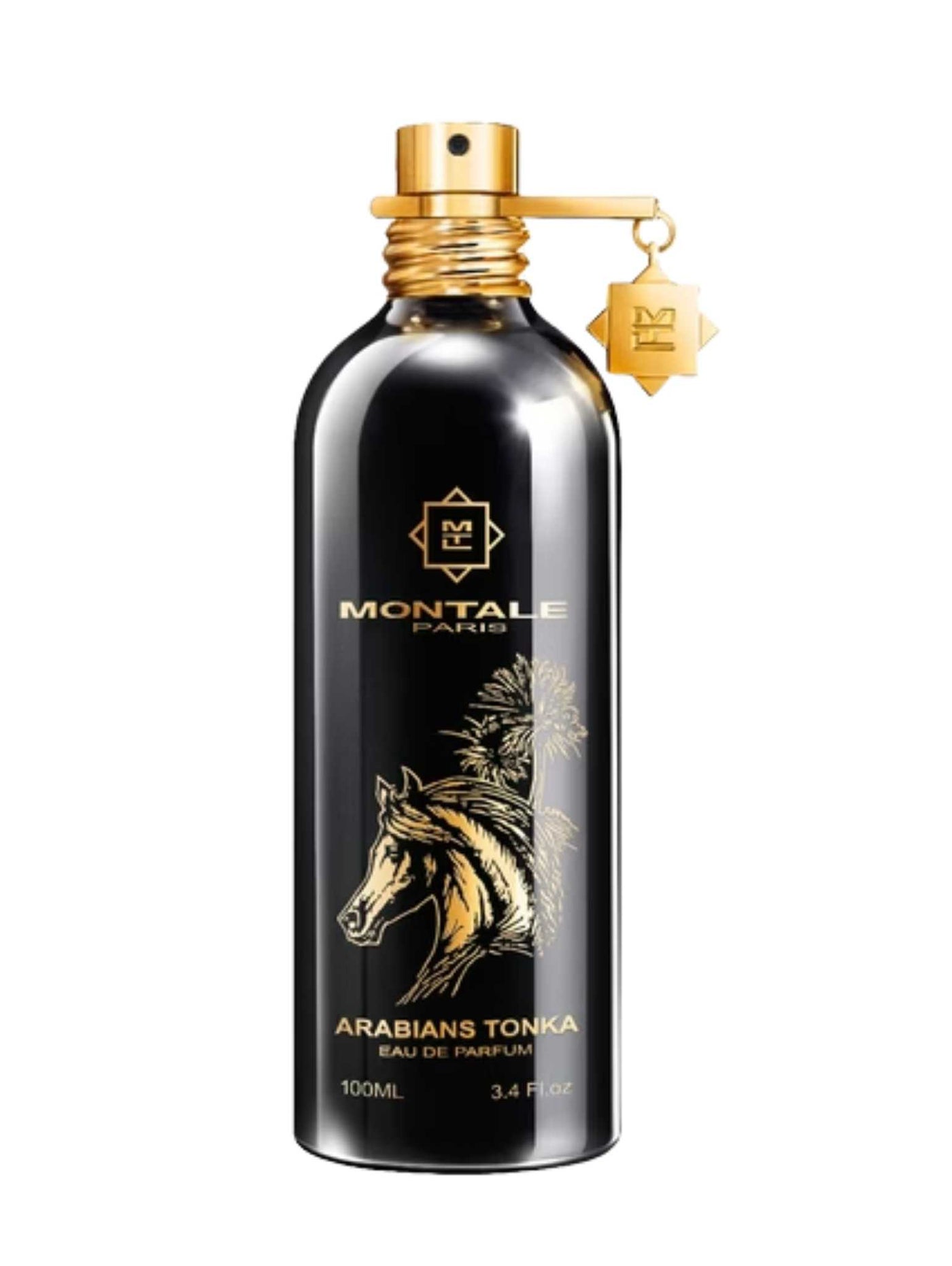 Arabians Tonka - Montale