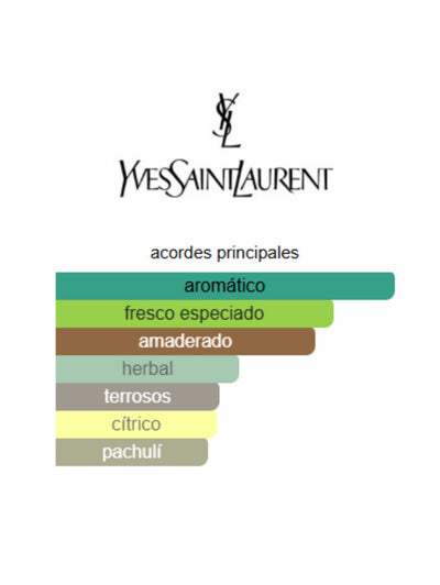 Y Eau de Parfum Intense - Yves Saint Laurent