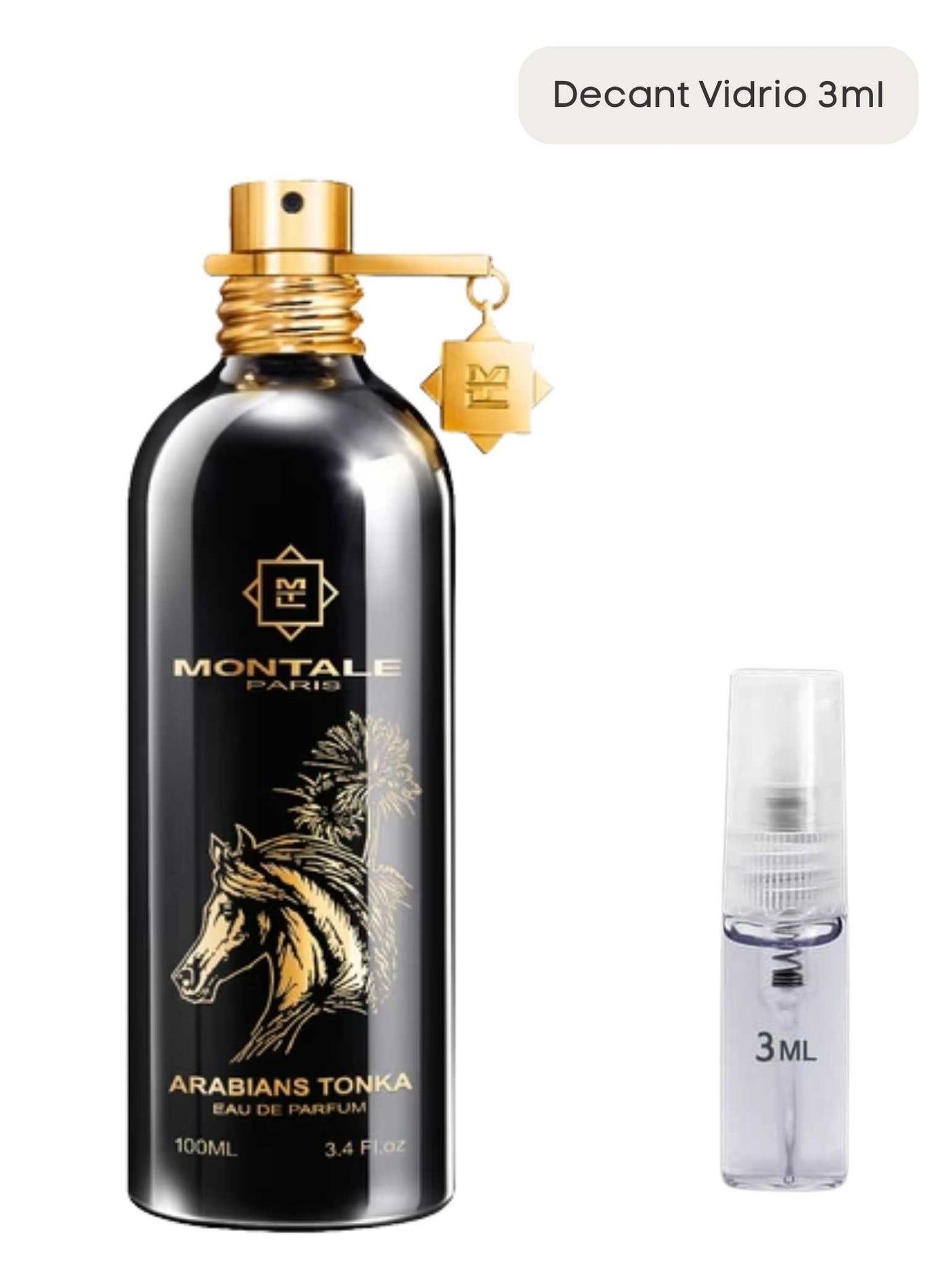 Arabians Tonka - Montale