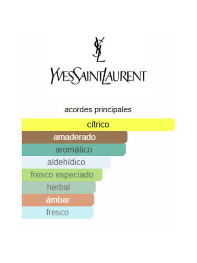L'Homme Sport - Yves Saint Laurent