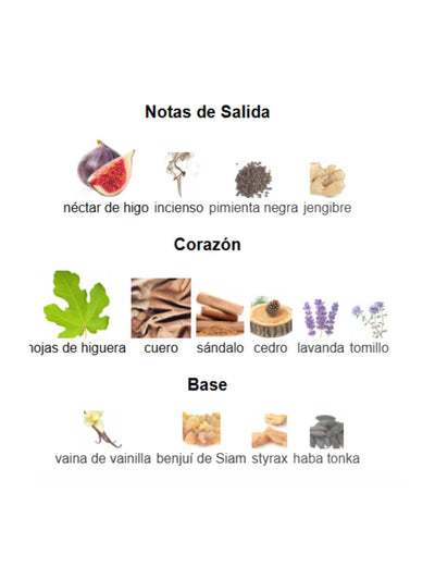 Fig Extasy - Mancera