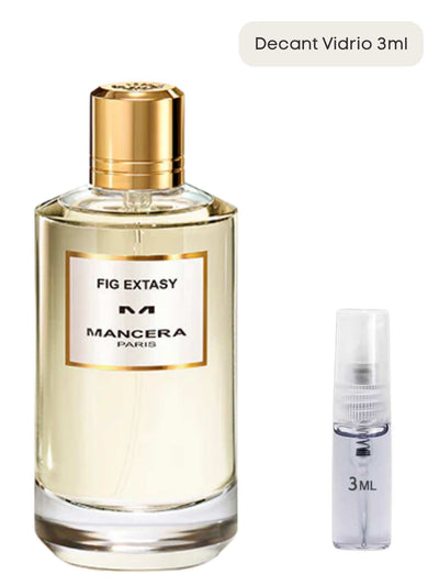 Fig Extasy - Mancera
