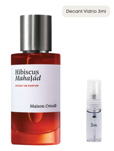 Hibiscus Mahajád - Maison Crivelli