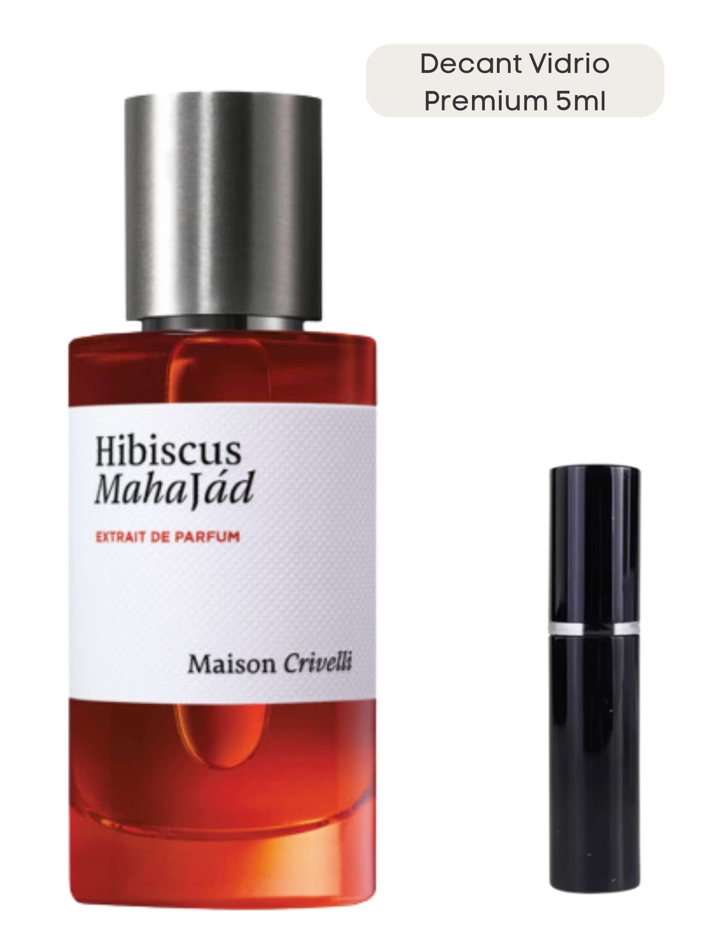 Hibiscus Mahajád - Maison Crivelli