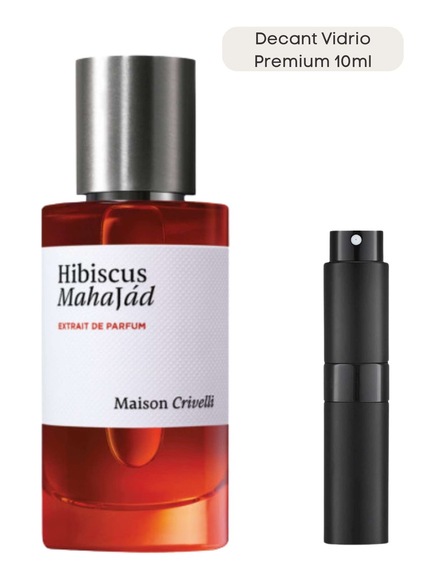 Hibiscus Mahajád - Maison Crivelli