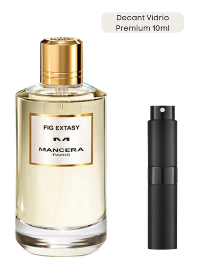 Fig Extasy - Mancera