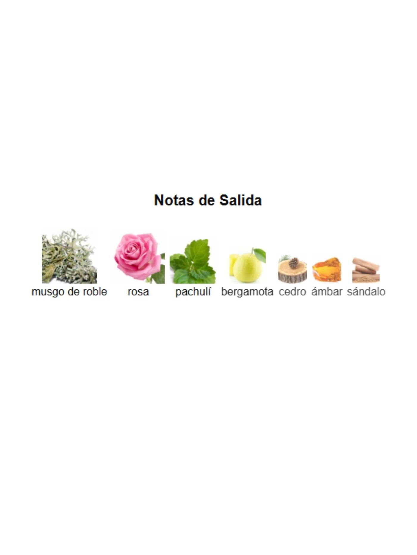 Gris Dior - Dior