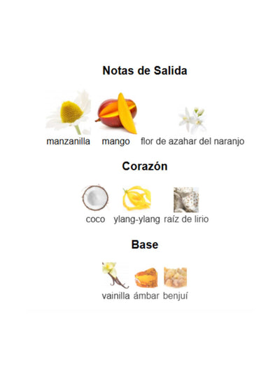 Tropical Kiss - French Avenue