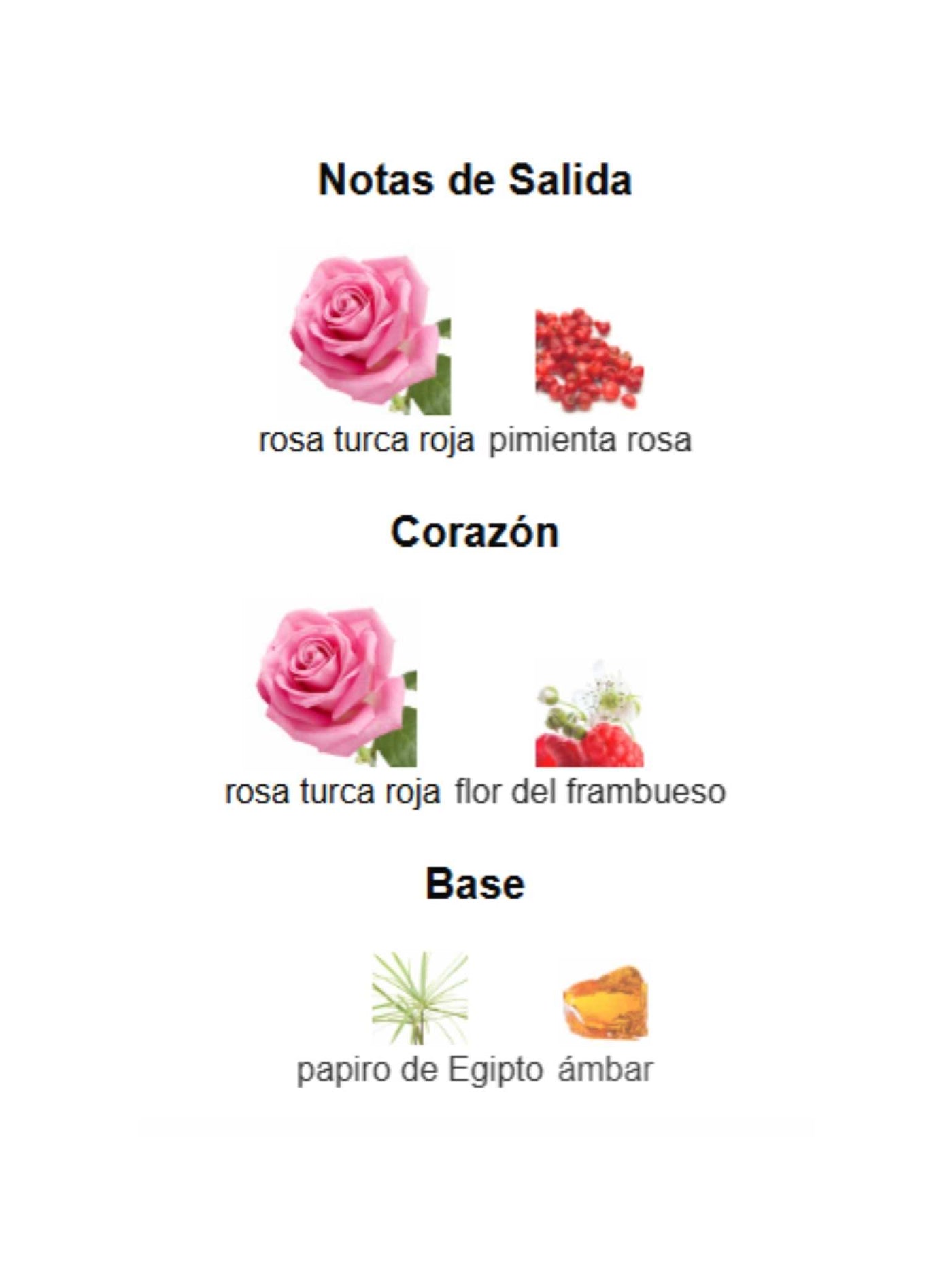Rose Of No Man's Land - Byredo