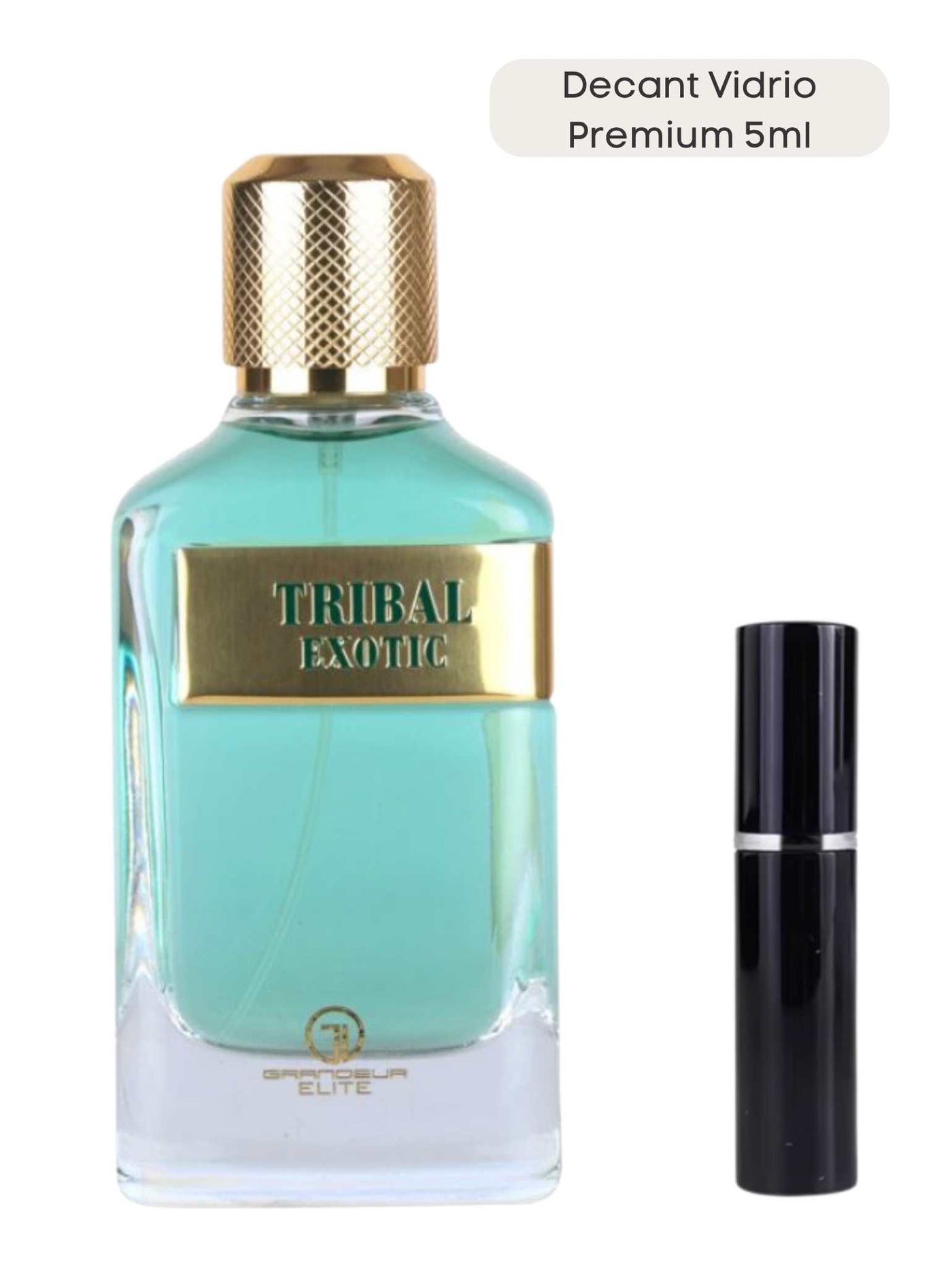 Tribal Exotic - Grandeur