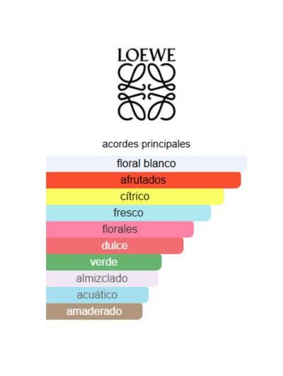Aire Sutileza - Loewe