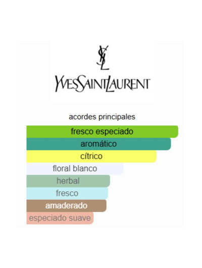 Y Live - Yves Saint Laurent