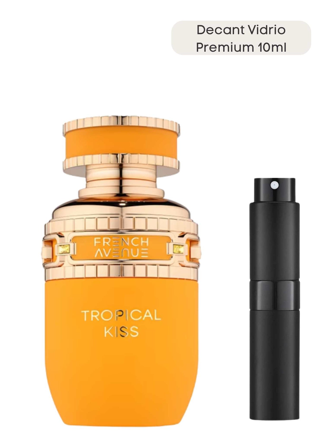 Tropical Kiss - French Avenue