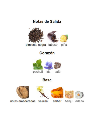Salvo Elixir - Maison Alhambra